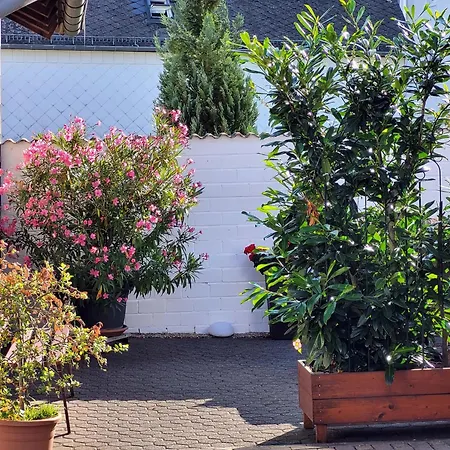 Eifelferienhaus Thome *