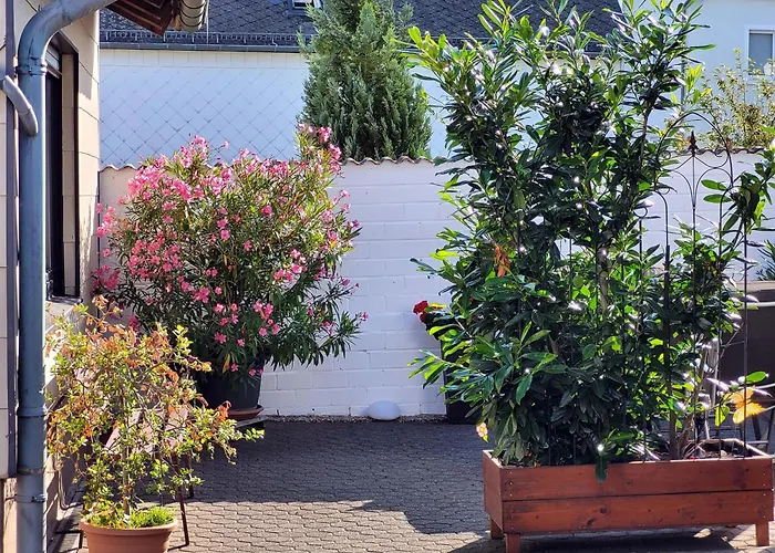 Eifelferienhaus Thome *