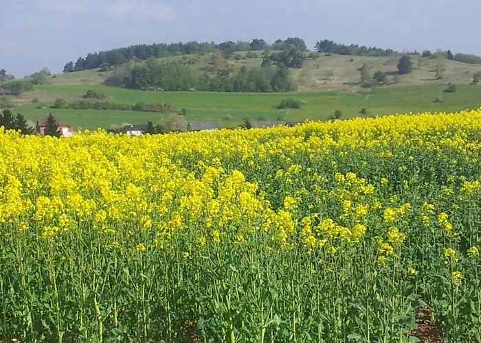 Prázdninový dům Eifelferienhaus Thome *